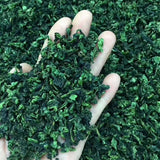 أوراق الشاي الصيني الاسود غوان يين من Anxi Tie (500g)