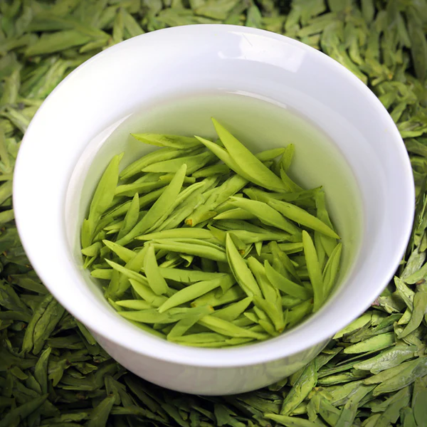 The Origin of Huajuan Tea