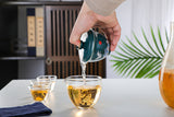 RORA Travel Chinese Kung Fu Ceramic Teapot set (Tea Sets 5)